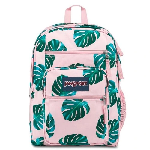 Jansport Big Student 双肩包