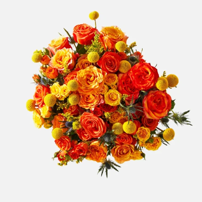 Triple The Firecracker 三重花束 给你与众不同