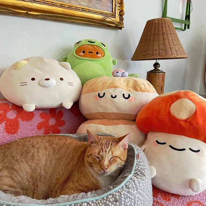 延期！Urban Outfitters：时尚家居大促