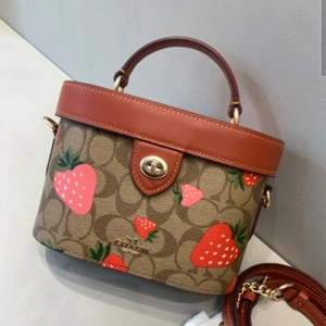 Coach 蔻驰 Kay 新款草莓盒子包