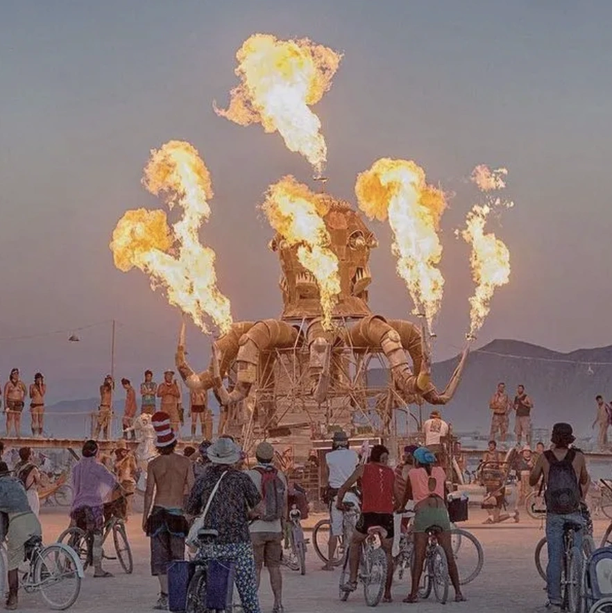 Stubhub：Burning Man 火人节 门票开售