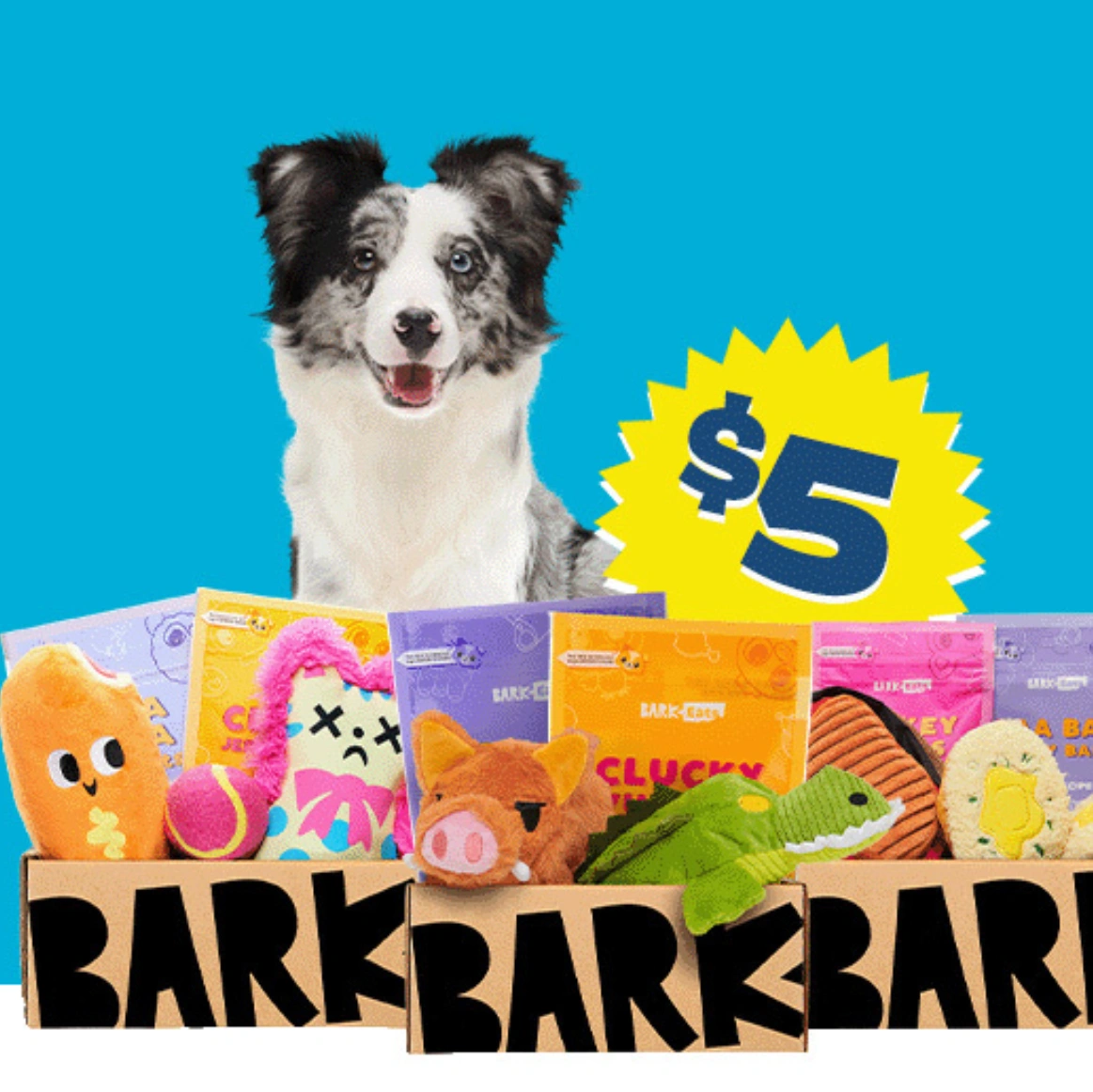 Bark Box 狗狗玩具零食订阅盒首月仅售$5