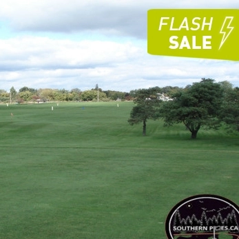 父亲节闪购！Southern Pines 高尔夫挥杆团购优惠（含蔬菜玉米片拼盘）