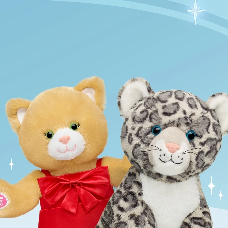 【2024网一】Build-A-Bear Workshop: 超萌玩偶热卖！装扮你的“娃”