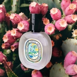Diptyque 蒂普提克 2024夏日之光 发喷30ml